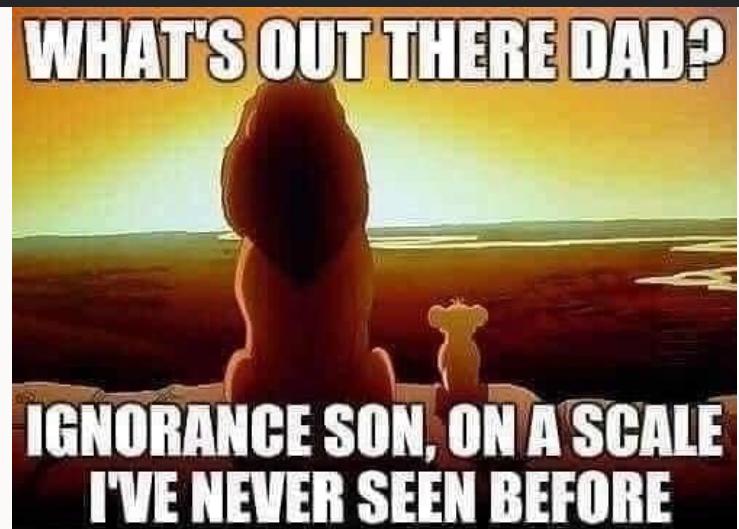 WHATSOUTTHEREDAD _ L IGNORANCE SON ONASCALE IVE NEVER SEEN BEFORE