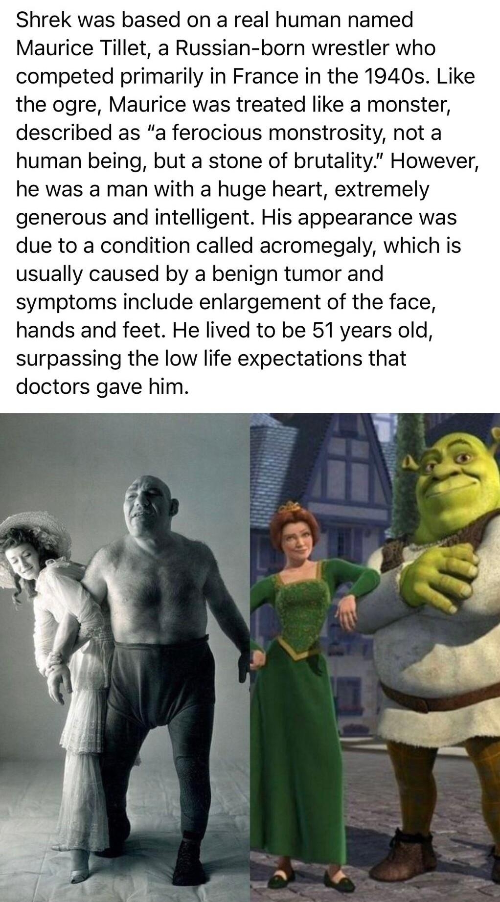 Amazing Facts Based in Brazil 8h Shrek was based on a real human named Maurice Tillet a Russian born wrestler who competed primarily in France in the 1940s Like the ogre Maurice was treated like a monster described as a ferocious monstrosity not a human being but a stone of brutality However he was a man with a huge heart extremely generous and intelligent His appearance was due to a condition cal