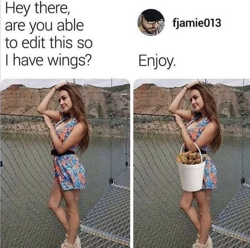 Hey there are you able to edit this so have wings