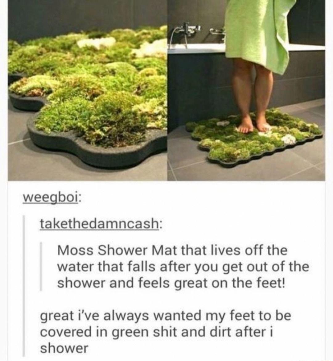 weegboi takethedamncash Moss Shower Mat that lives off the water that falls after you get out of the shower and feels great on the feet great ive always wanted my feet to be covered in green shit and dirt after i shower