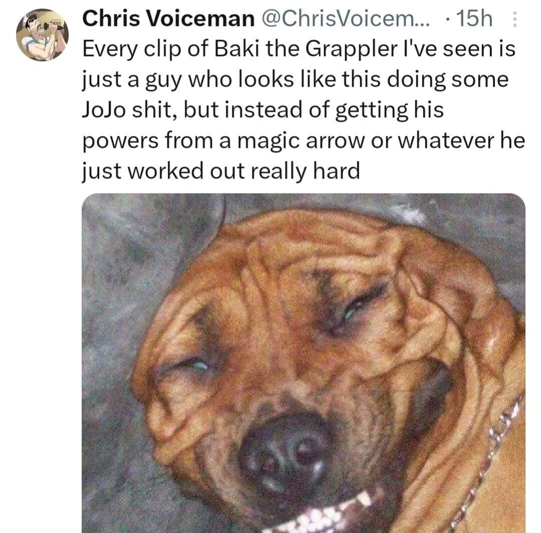 Chris Voiceman ChrisVoicem 15h Every clip of Baki the Grappler Ive seen is just a guy who looks like this doing some JoJo shit but instead of getting his powers from a magic arrow or whatever he just worked out really hard