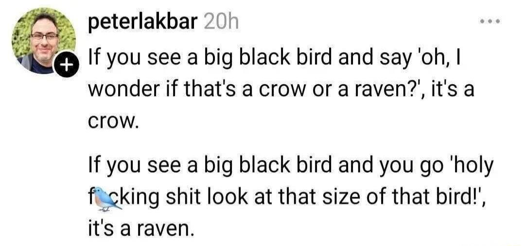 peterlakbar 20h If you see a big black bird and say 'oh, I wonder if that's a crow or a raven?', it's a crow. If you see a big black bird and you go 'holy fucking shit look at that size of that bird!', it's a raven.