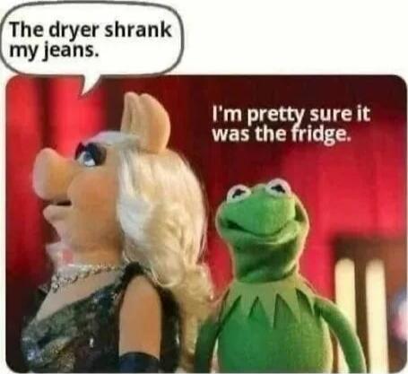 The dryer shrank my jeans. I'm pretty sure it was the fridge.