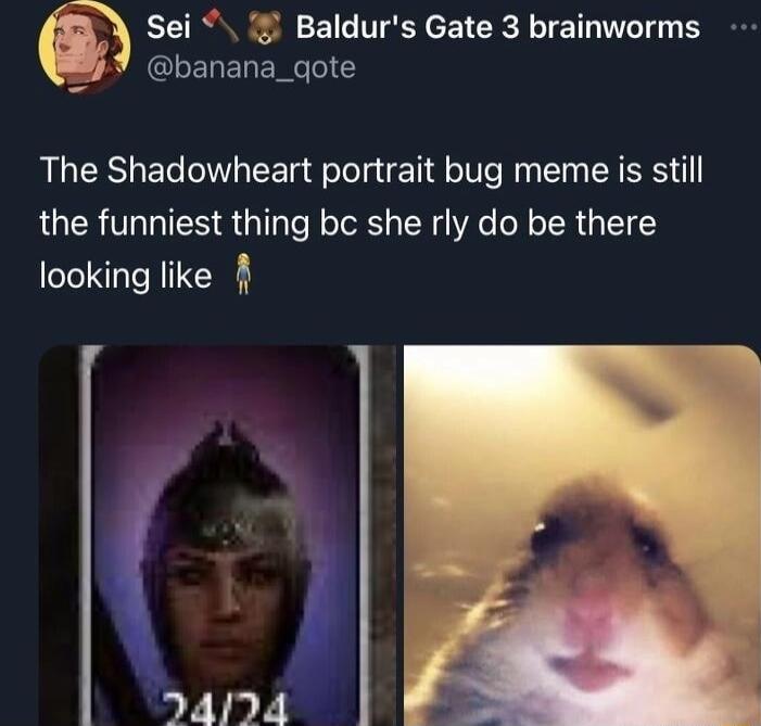 Sei 1 Baldurs Gate 3 brainworms GLERERENGCTIE The Shadowheart portrait bug meme is still the funniest thing bc she rly do be there looking like