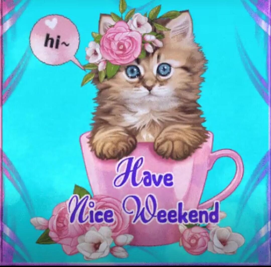 hi~ Have Nice Weekend