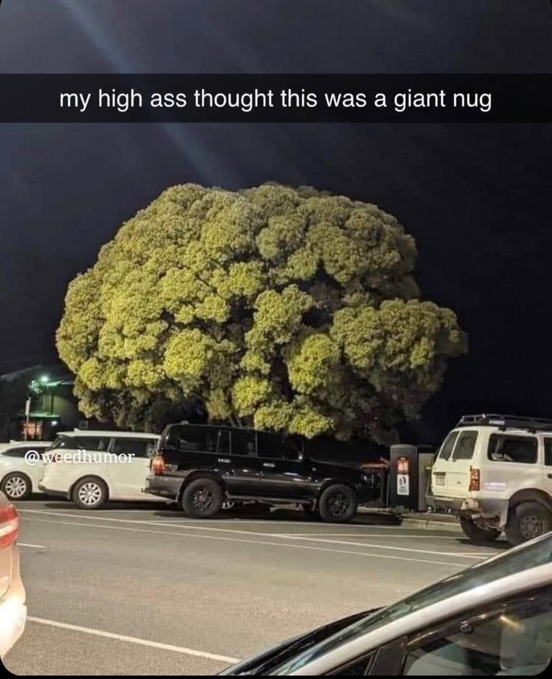 i my high ass thought this was a giant nug