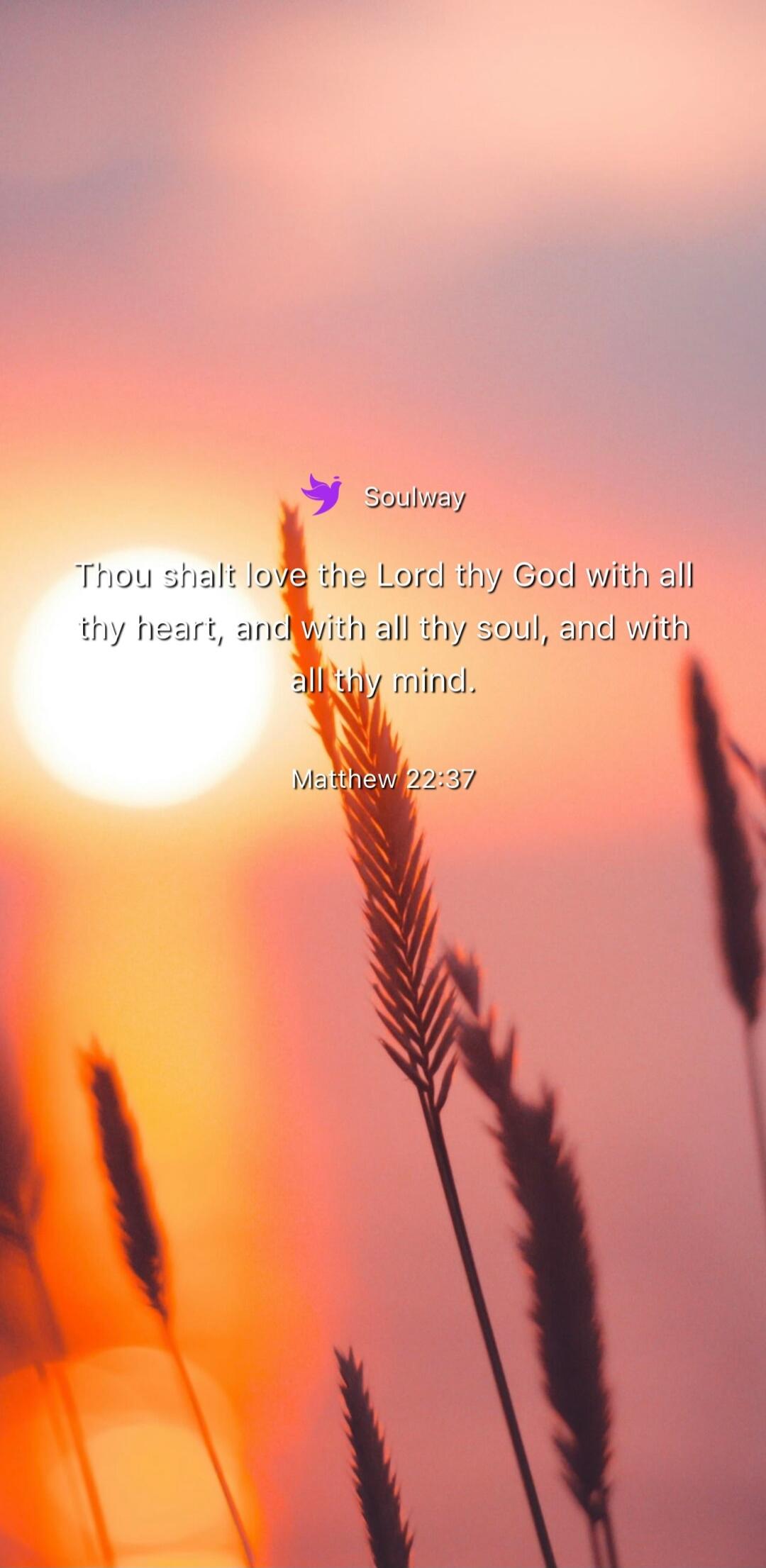 Soulway. Thou shalt love the Lord thy God with all thy heart, and with all thy soul, and with all thy mind. Matthew 22:37