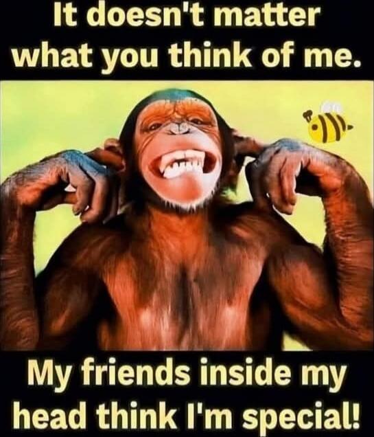It doesn't matter what you think of me. My friends inside my head think I'm special!