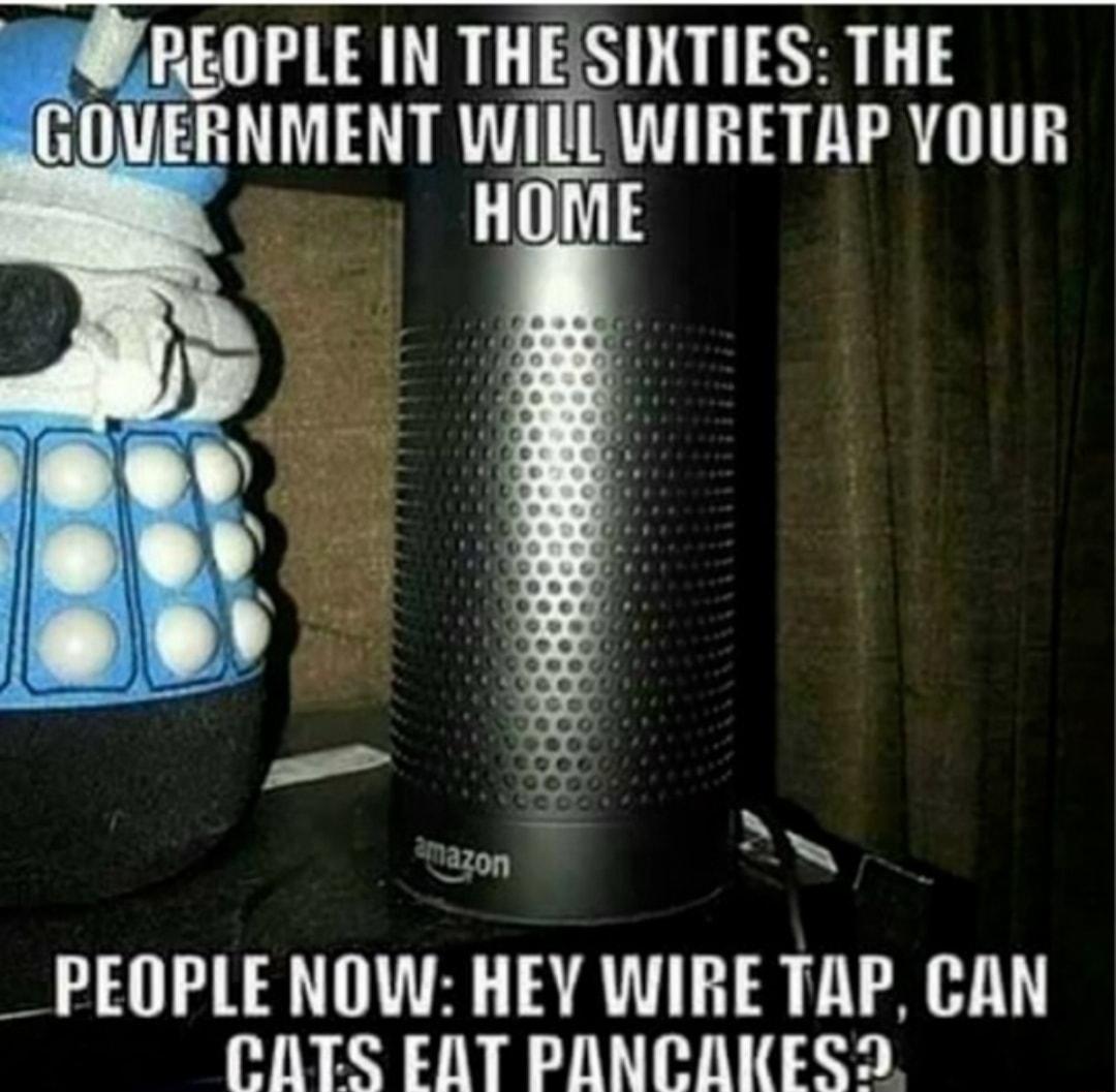 REOPLE IN THESIKTIES THE ERNMENT WILL WIRETAP YOUR a20n N _PEOPLE NOW HEV WIRE TAP CAN CATS EAT PANCAKESD