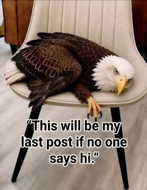 This will be my last post if no one says hi.
