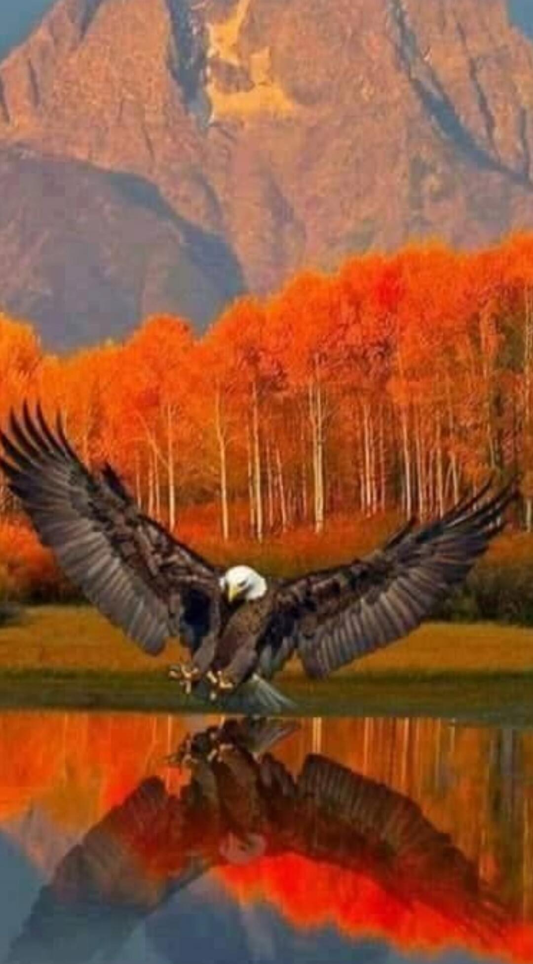 A bald eagle with wings spread, descending toward a calm lake with its reflection, set against a backdrop of autumn trees and distant mountains.
