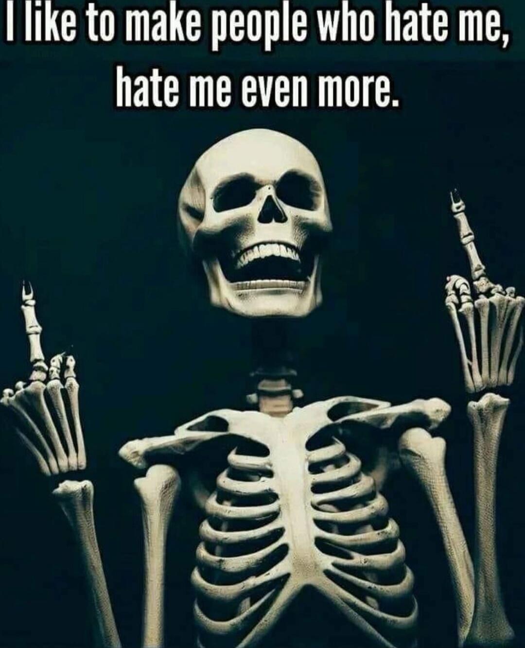 I like to make people who hate me, hate me even more.
