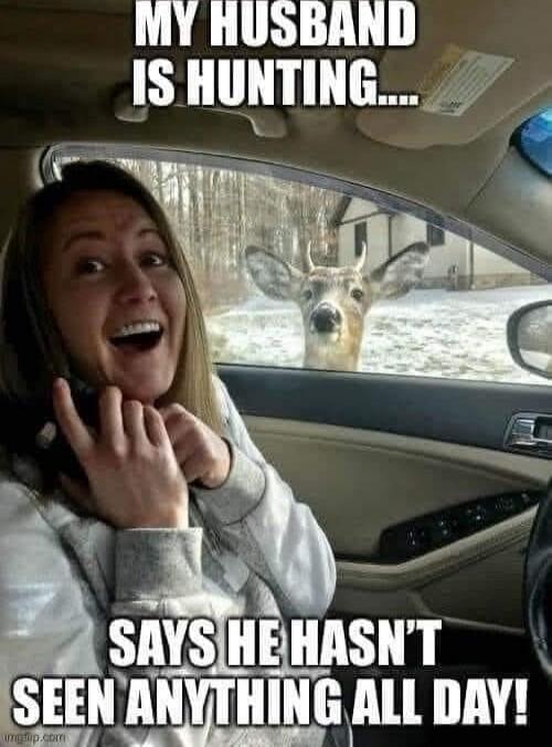 MY HUSBAND IS HUNTING.... SAYS HE HASN'T SEEN ANYTHING ALL DAY!