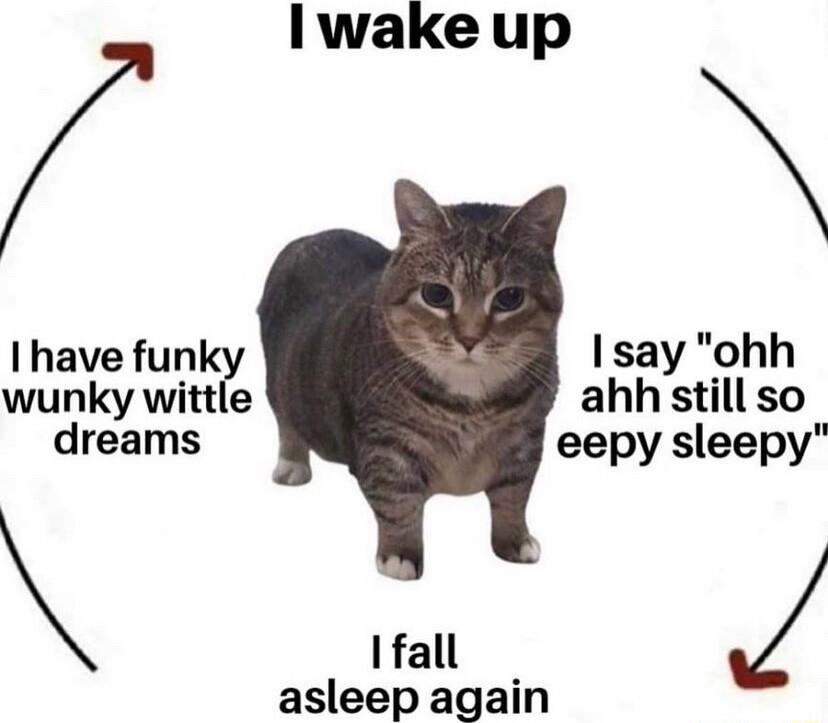 Iwake up I have funk 1say ohh wunky wittle ahh still so dreams eepy sleepy Ifall asleep again