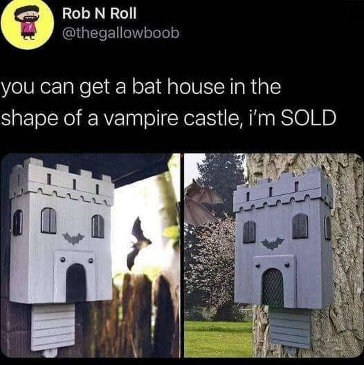 Rob N Roll QIGETENTTelo you can get a bat house in the shape of a vampire castle im SOLD