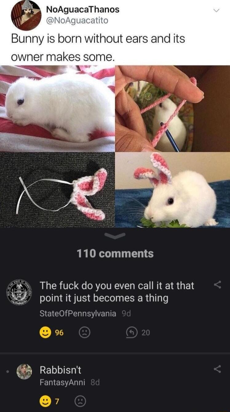 NoAguacaThanos Bunny is born without ears and its owner makes some 110 comments The fuck do you even call it at that point it just becomes a thing StateOfPennsylvania Rabbisnt FantasyAnni 7