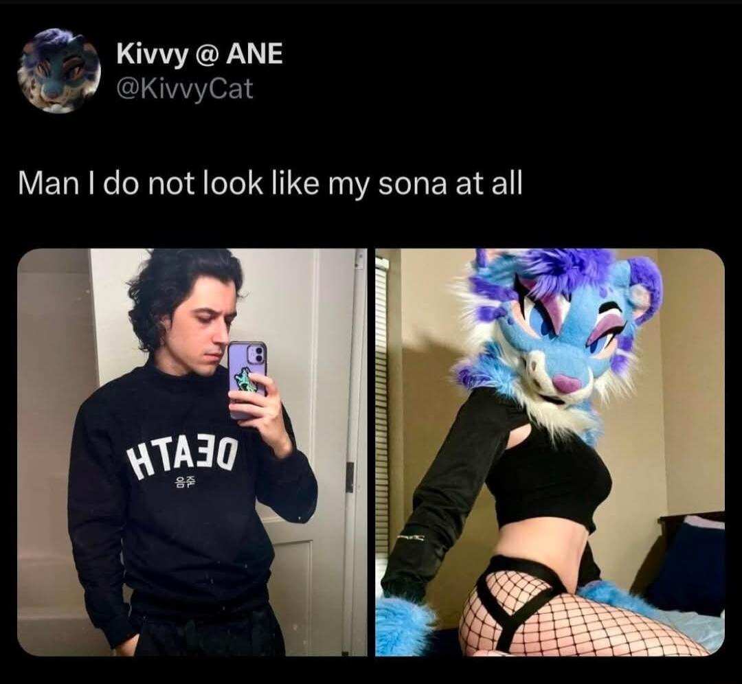 Kivvy ANE Y axivycat Man do not look like my sona at all