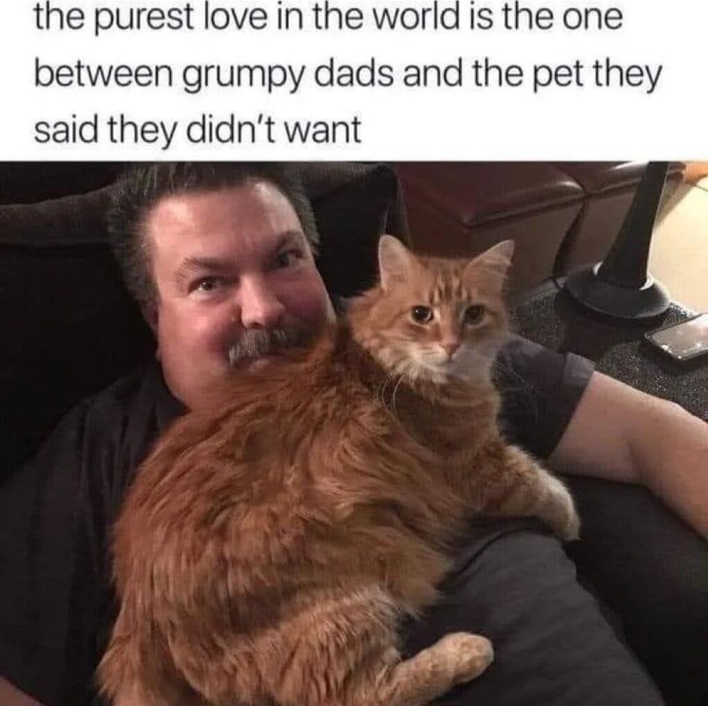 the purest love In the world Is the one between grumpy dads and the pet they said they didnt want