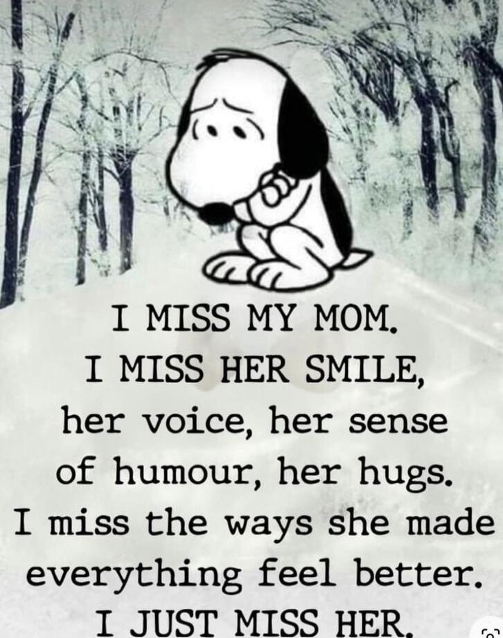 I MISS MY MOM. I MISS HER SMILE, her voice, her sense of humour, her hugs. I miss the ways she made everything feel better. I JUST MISS HER.