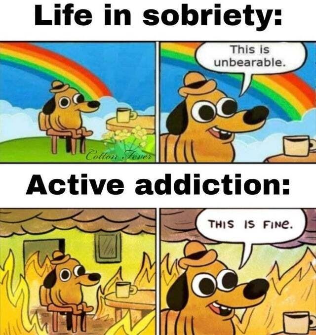 Life in sobriety ctiveaddiction