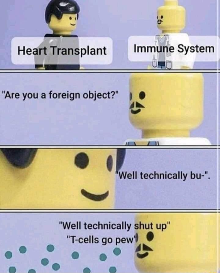 Heart Transplant Immune System el S um Are you a foreign object l 0 L o Il technically bu Well technically shut up T cells go pew 4 o e o