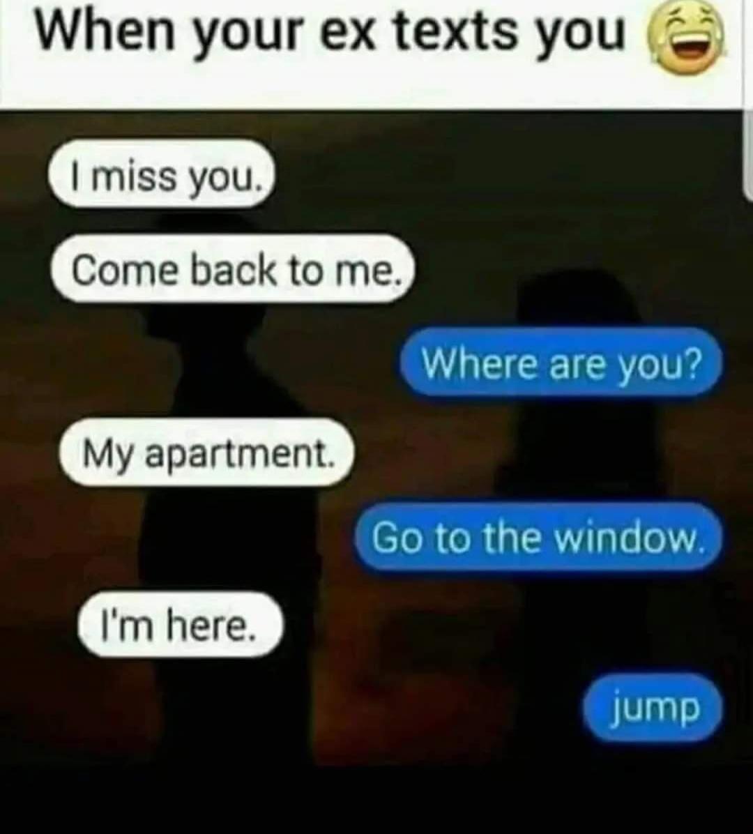 I miss you.\nCome back to me.\nWhere are you?\nMy apartment.\nGo to the window.\nI'm here.\njump