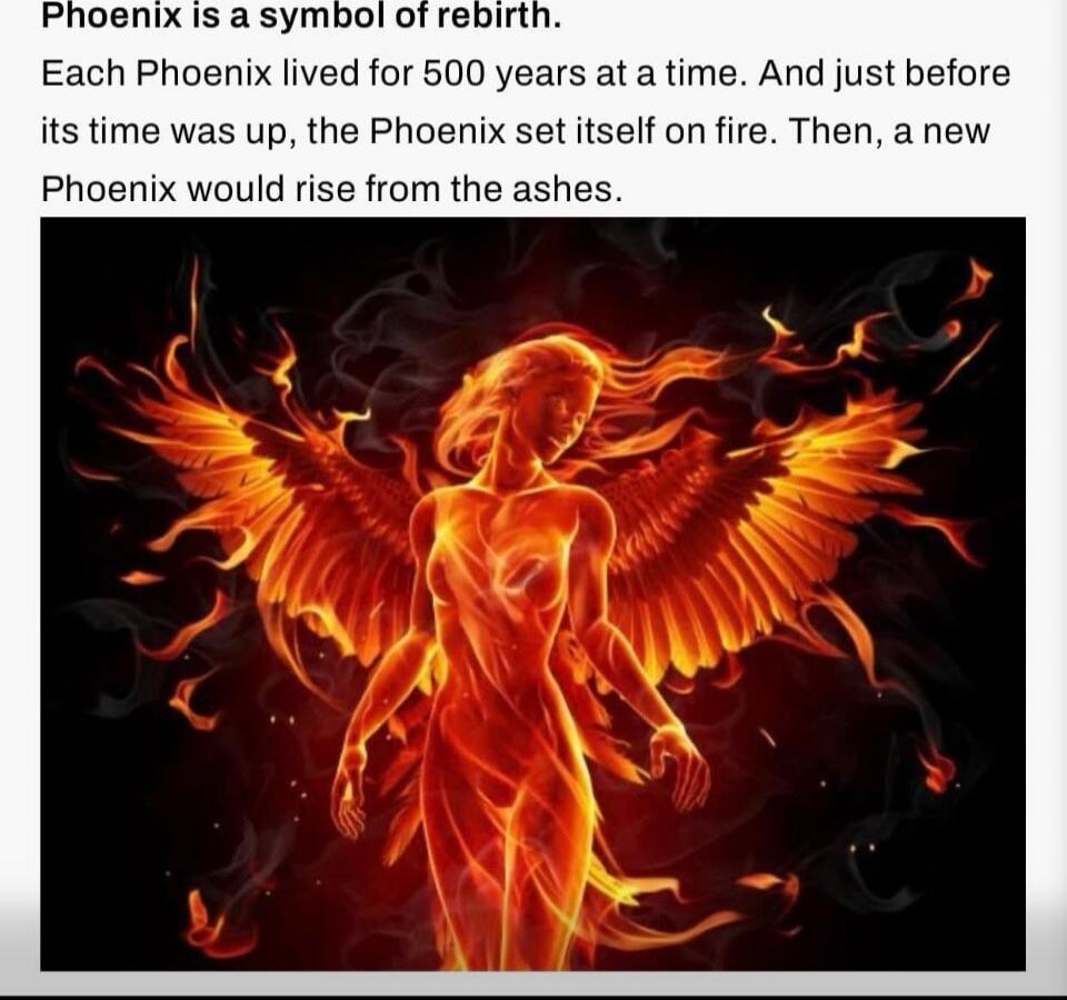 Phoenix is a symbol of rebirth. Each Phoenix lived for 500 years at a time. And just before its time was up, the Phoenix set itself on fire. Then, a new phoenix would rise from the ashes.