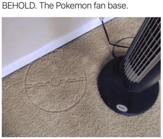 BEHOLD The Pokemon fan base