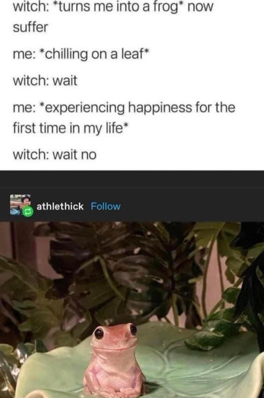 turns me into a suffer me chilling on a leaf witch wait me experiencing happiness for the first time in my life witch wait no S5 athlethick Follow
