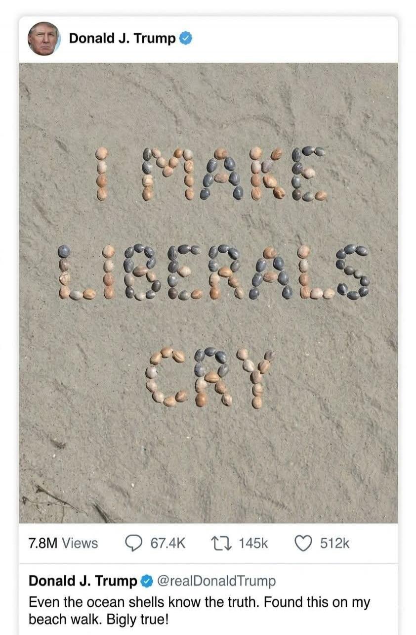 I MAKE LIBERALS CRY. Donald J. Trump @realDonaldTrump Even the ocean shells know the truth. Found this on my beach walk. Bigly true!