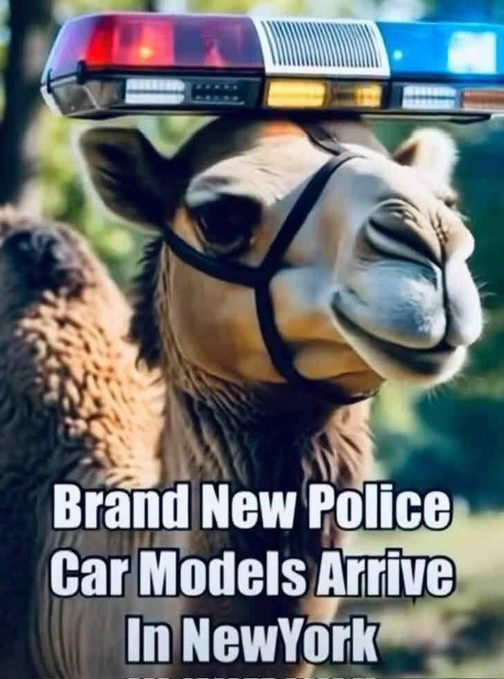 Brand New Police Car Models Arrive In New York