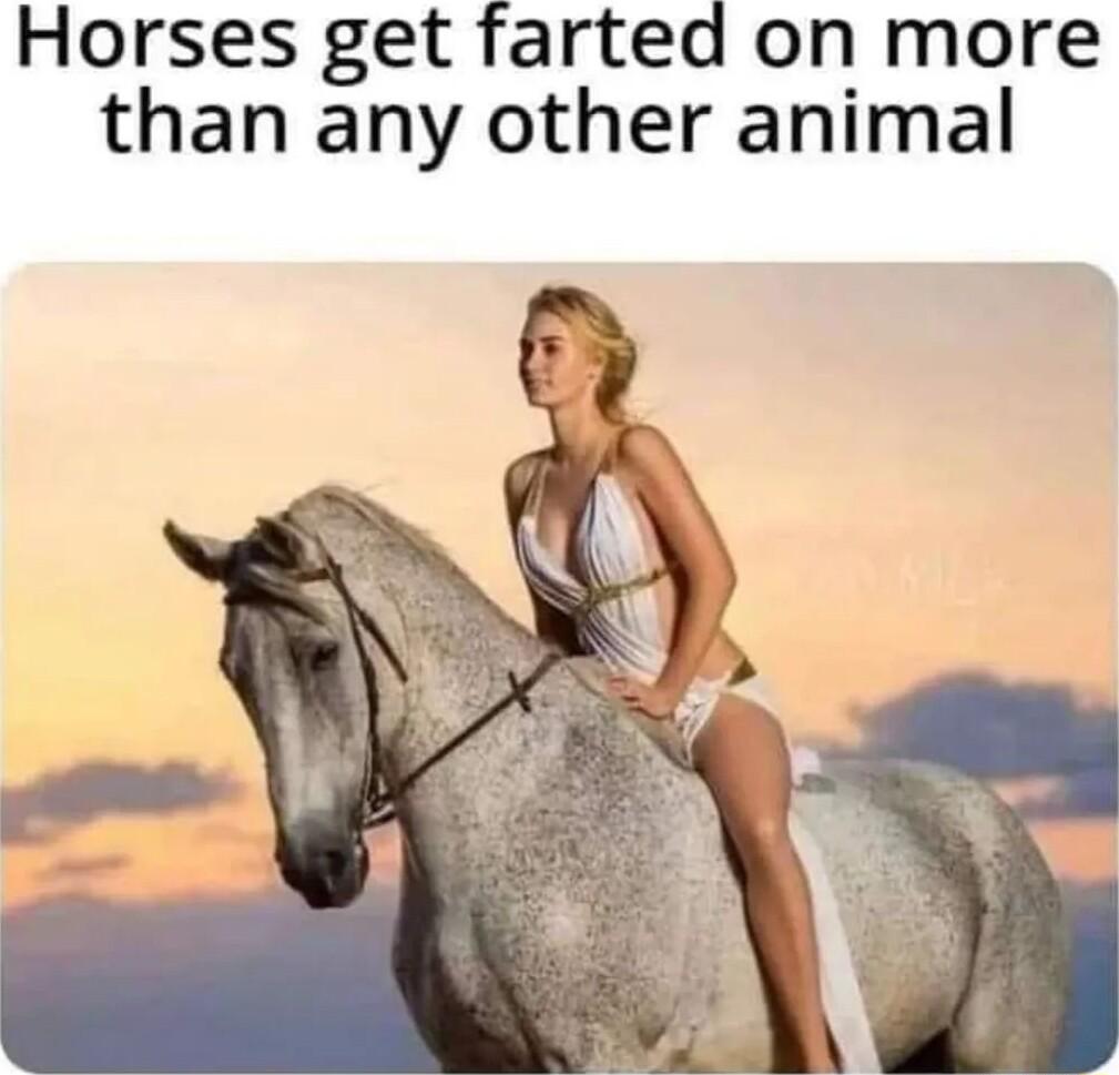 Horses get farted on more than any other animal