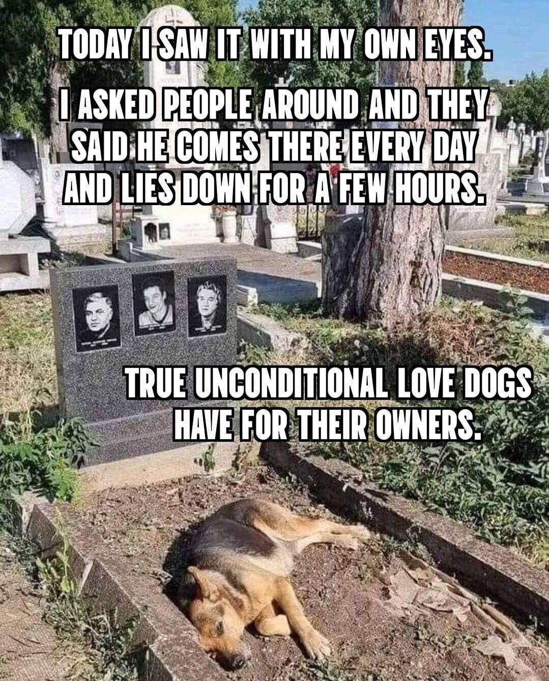 TODAY I SAW IT WITH MY OWN EYES. I ASKED PEOPLE AROUND AND THEY SAID HE COMES THERE EVERY DAY AND LIES DOWN FOR A FEW HOURS. TRUE UNCONDITIONAL LOVE DOGS HAVE FOR THEIR OWNERS.
