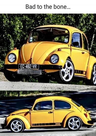 Bad to the bone... EC-462-VR