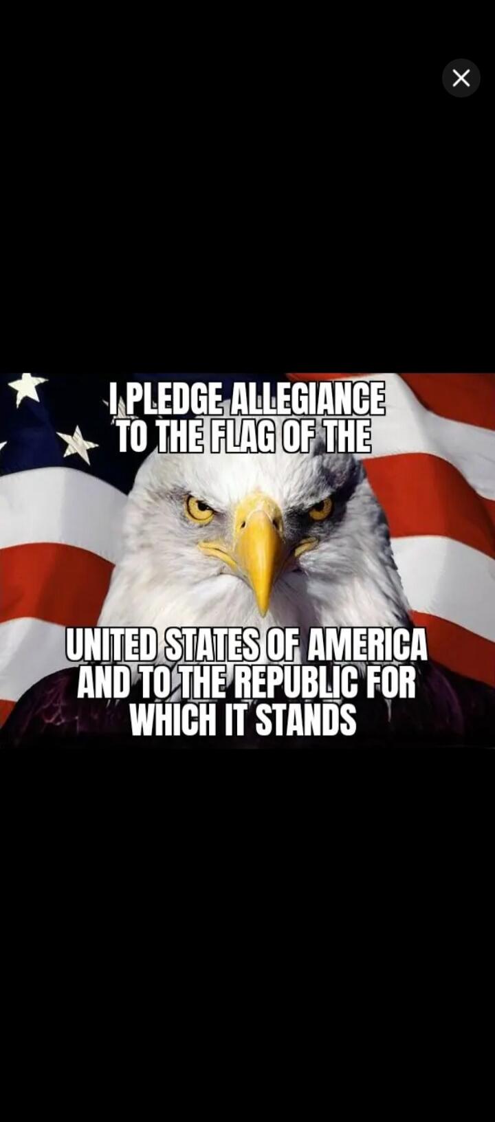I PLEDGE ALLEGIANCE TO THE FLAG OF THE UNITED STATES OF AMERICA AND TO THE REPUBLIC FOR WHICH IT STANDS