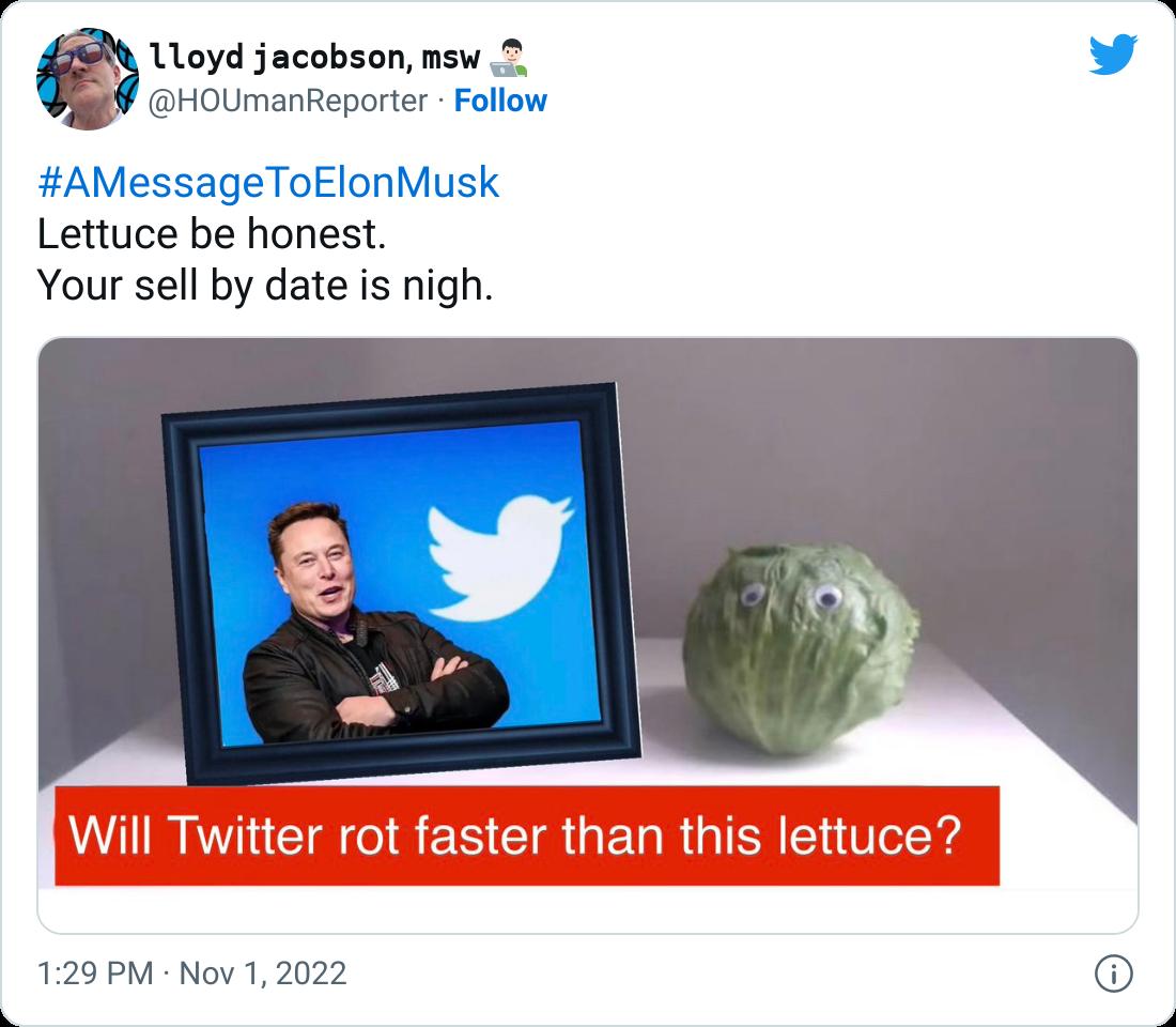 1loyd jacobson msw 2 HoUmanReporter Follow AMessageToElonMusk Lettuce be honest Your sell by date is nigh 129PM Nov 1 2022