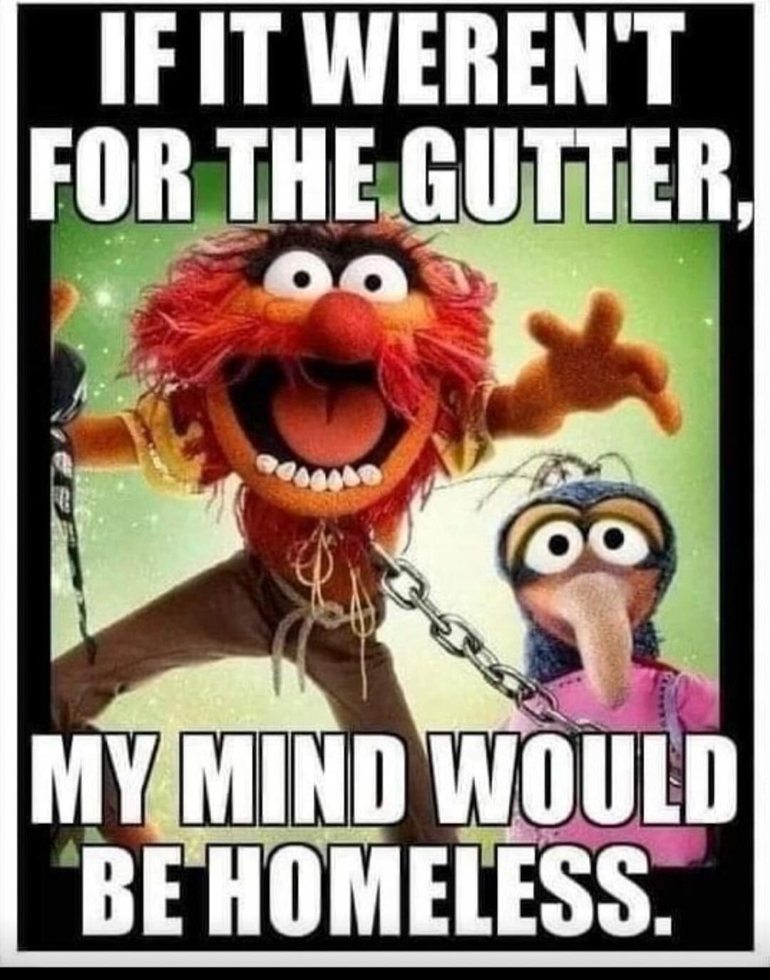 IF IT WEREN'T FOR THE GUTTER, MY MIND WOULD BE HOMELESS.
