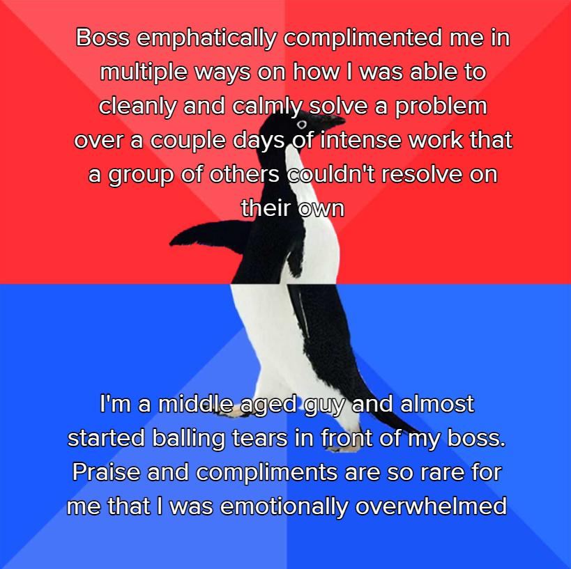 Boss emphatically complimentedime in multiple ways on how was able to cleanlyand calmly solve a problem over aicoupleidays ofifitense work that a groupof omersgaudnl resolve on their Qiun Im a middlegal nd almost started ballingitears in front of my boss Praiseland compliments are so rare for me that llwas emotionally overwhelmed