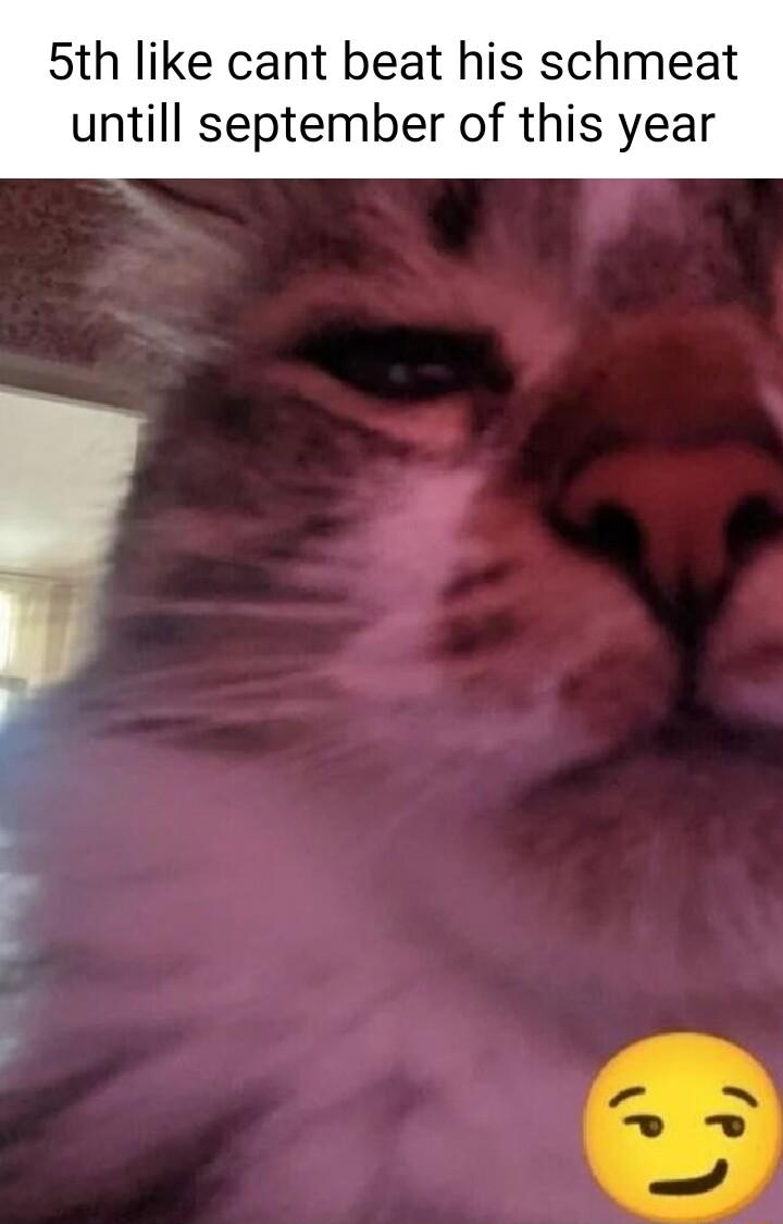 5th like cant beat his schmeat untill september of this year