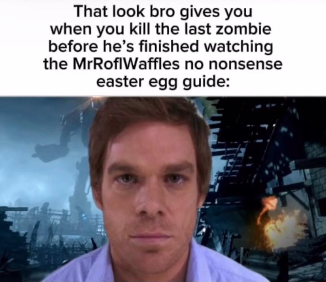 That look bro gives you when you kill the last zombie before hes finished watching the MrRoflWaffles no nonsense easter egg guide