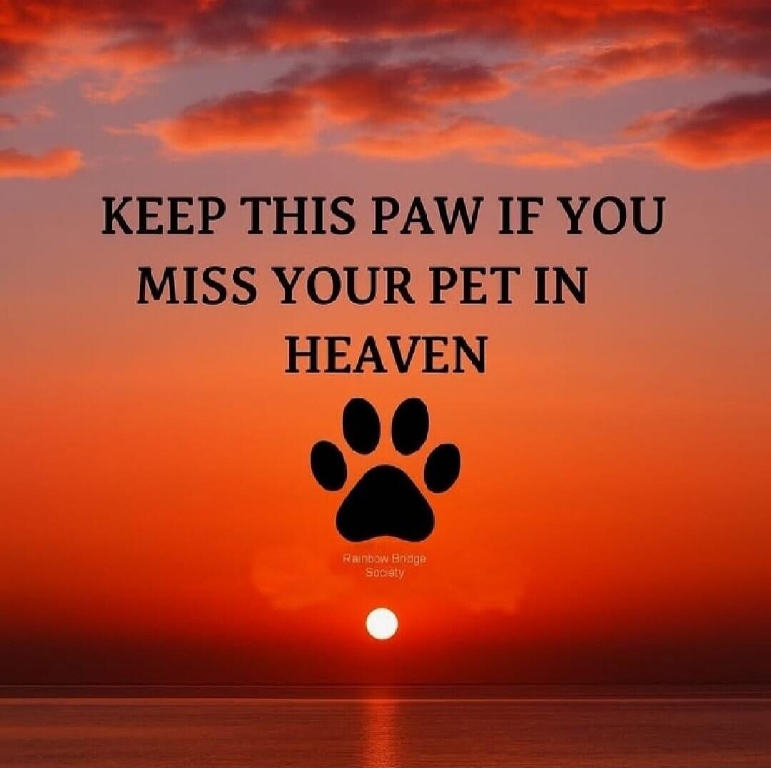 KEEP THIS PAW IF YOU MISS YOUR PET IN HEAVEN Rainbow Bridge Society