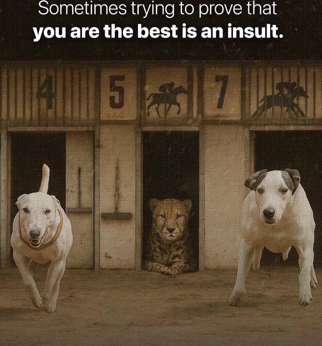Sometimes trying to prove that you are the best is an insult.