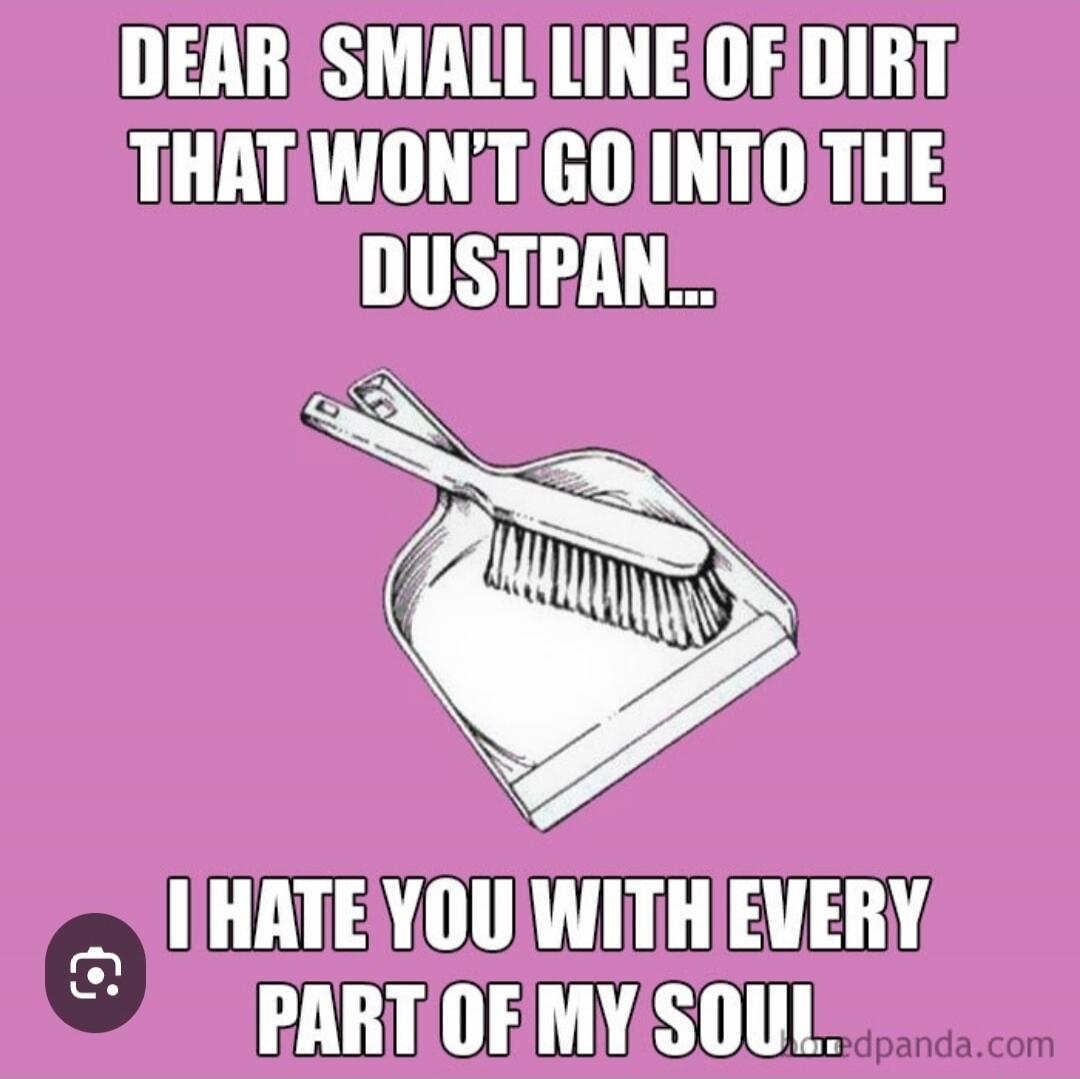 DEAR SMALL LINE OF DIRT THAT WON'T GO INTO THE DUSTPAN... I HATE YOU WITH EVERY PART OF MY SOUL