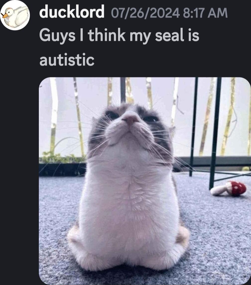 ducklord 07262024 817 AM NI RO TV autistic