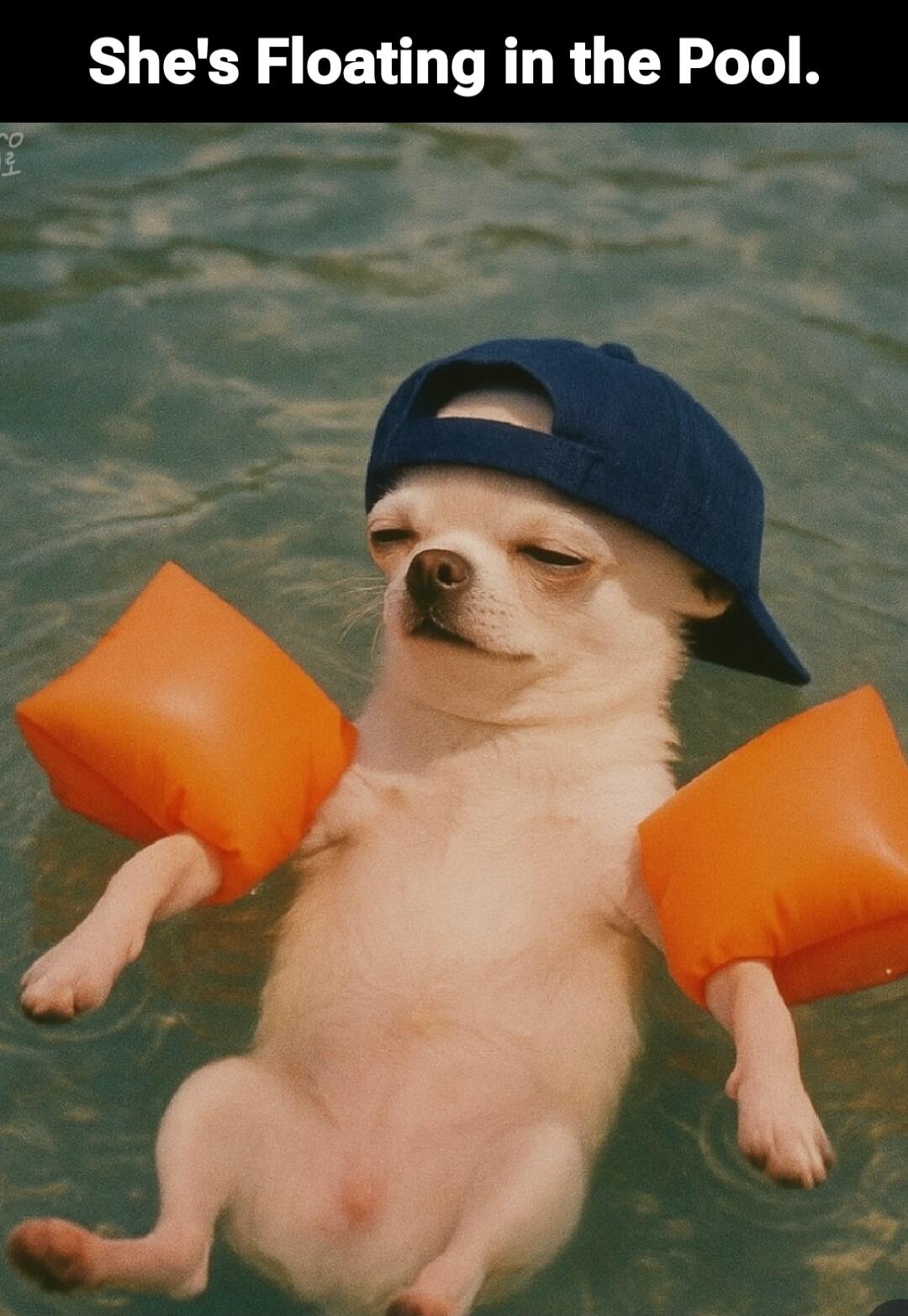 She's Floating in the Pool.