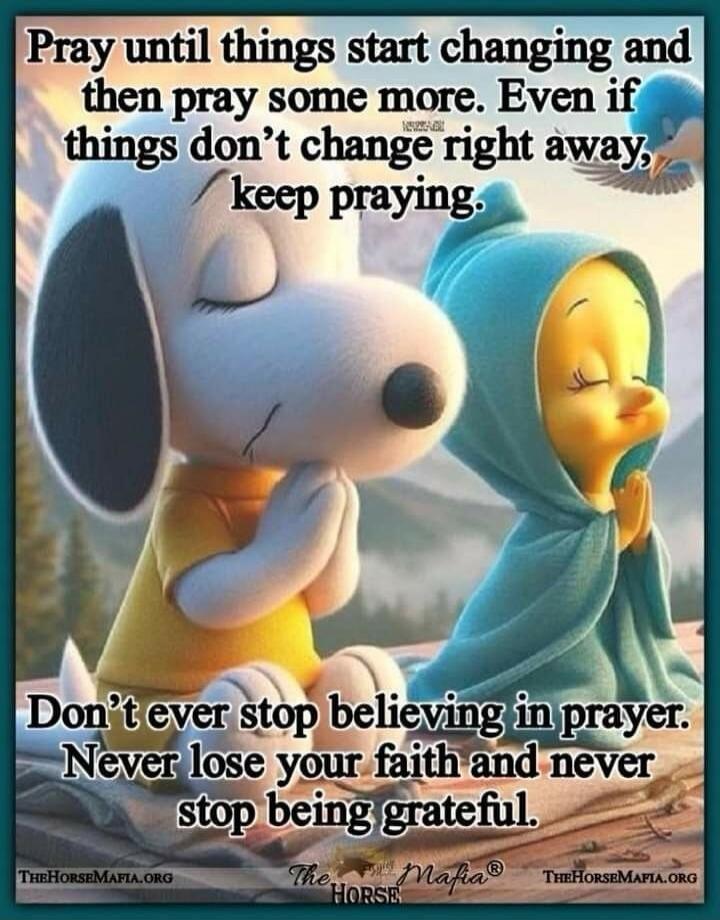 Pray until things start changing and then pray some more. Even if things don't change right away, keep praying. Don't ever stop believing in prayer. Never lose your faith and never stop being grateful.