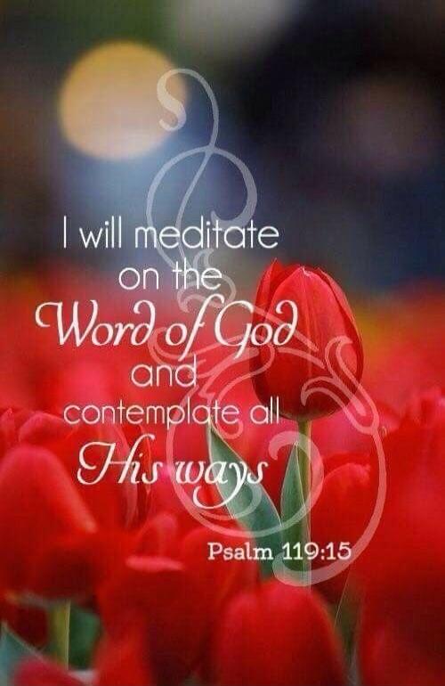 I will meditate on the Word of God and contemplate all His ways Psalm 119:15