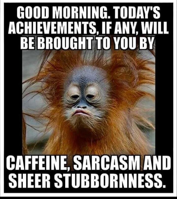GOOD MORNING. TODAY'S ACHIEVEMENTS, IF ANY, WILL BE BROUGHT TO YOU BY CAFFEINE, SARCASM AND SHEER STUBBORNNESS.