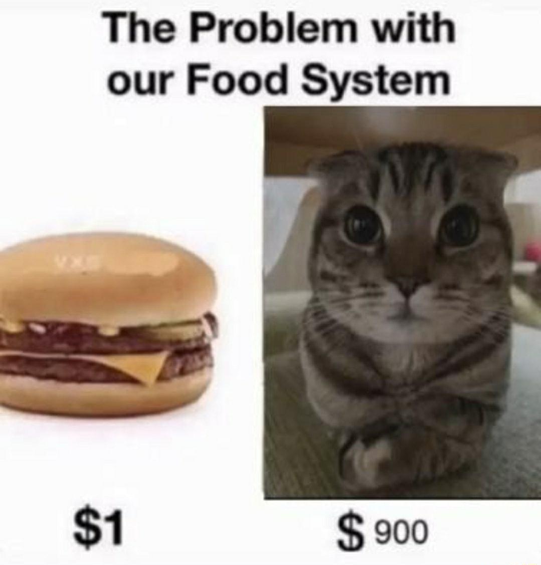 The Problem with our Food System