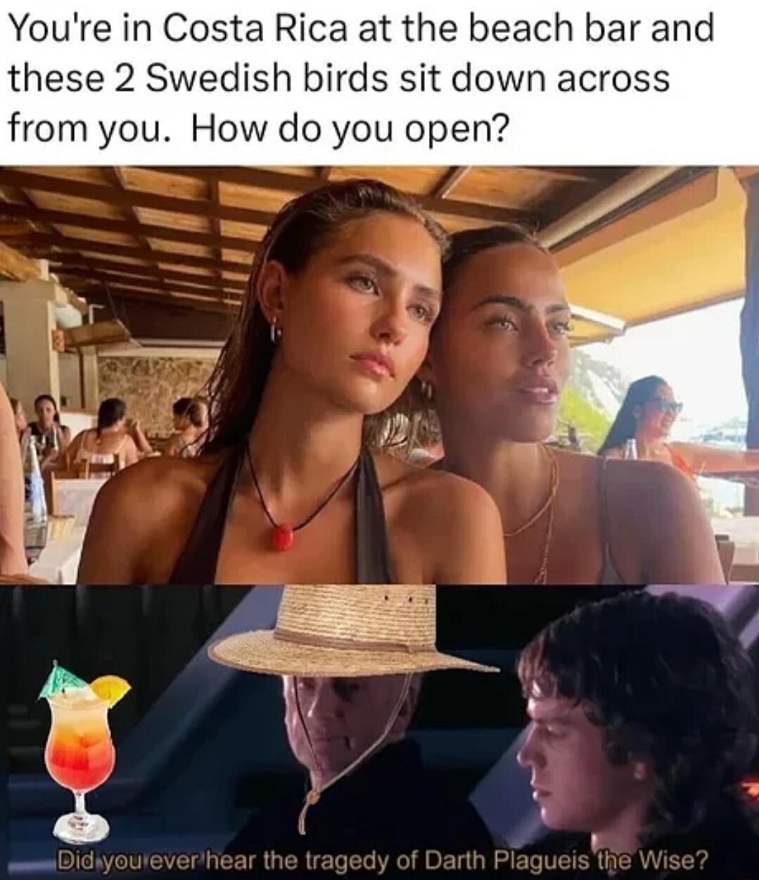 Youre in Costa Rica at the beach bar and these 2 Swedish birds sit down across from you How do you open